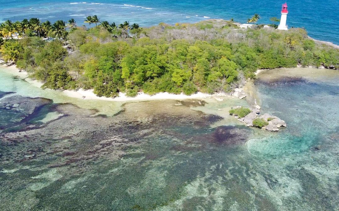 Un drone en Guadeloupe
